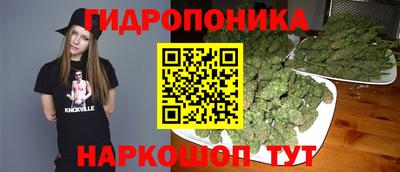 индика Будённовск