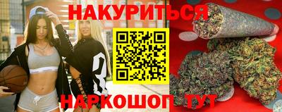 индика Будённовск