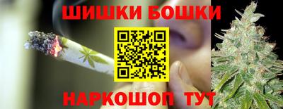 индика Будённовск
