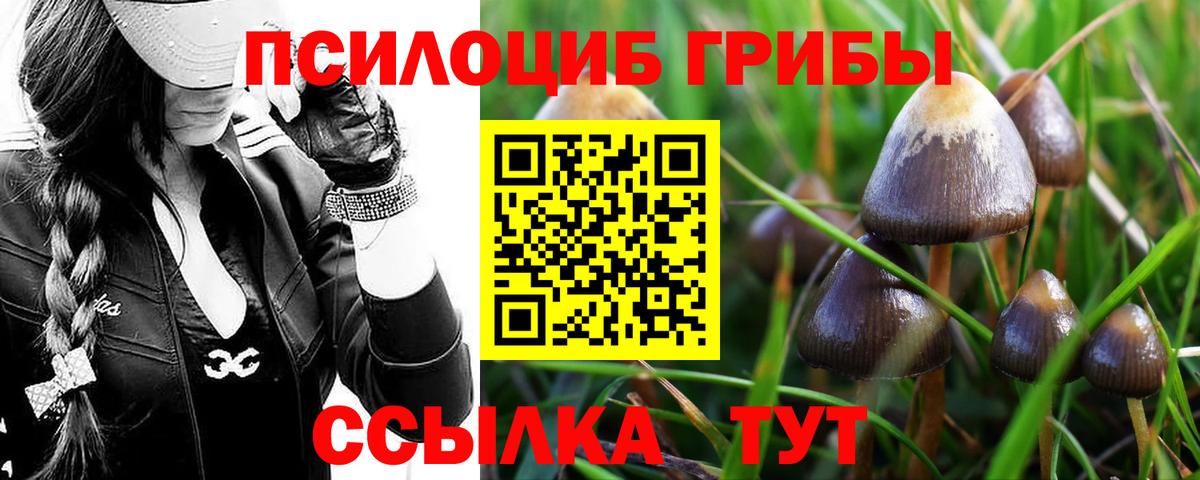 Псилоцибиновые грибы прущие грибы Стерлитамак