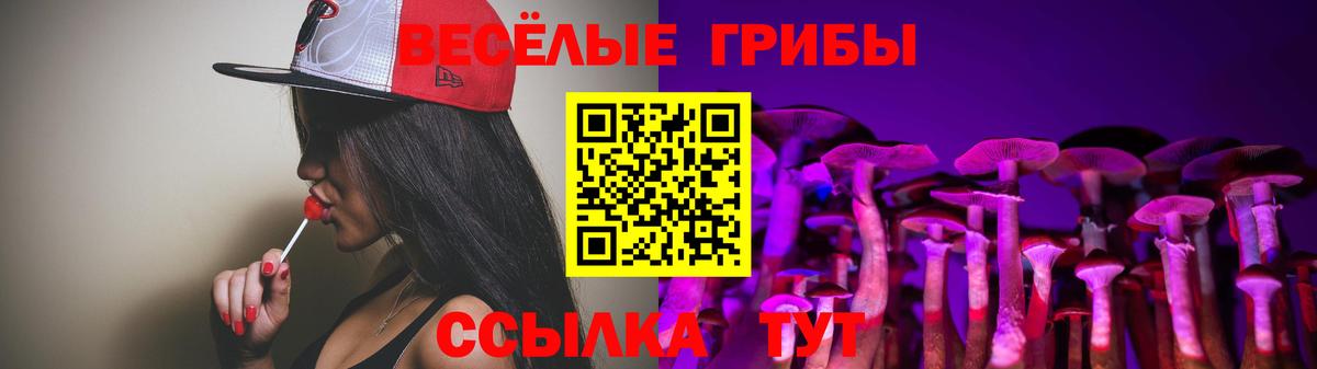 Галлюциногенные грибы Cubensis  Вход с VPN  Стерлитамак 